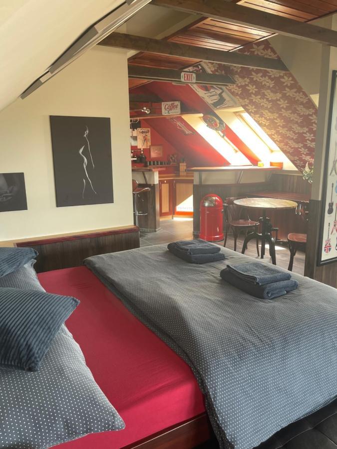 Stylove Apartmanky Frýdek-Místek 外观 照片